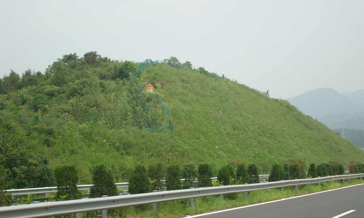 邊坡綠化——植被恢複階段要（yào）實現的目標